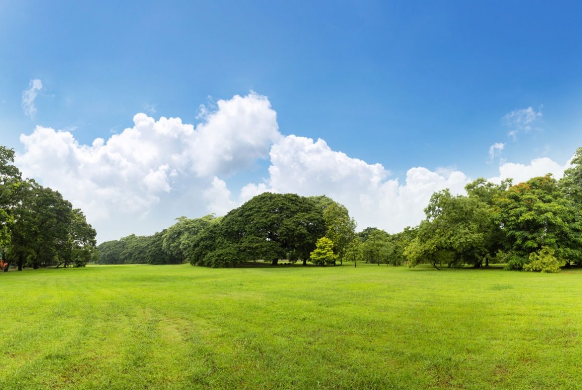 Apakah Investasi Tanah Aman dan Menguntungkan Saat Inflasi