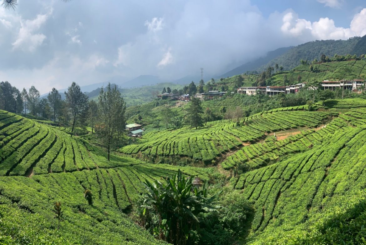 Rekomendasi Tempat Wisata di Bogor untuk Keluarga dan Anak-anak Rekomendasi Tempat Wisata di Bogor untuk Keluarga dan Anak-anak