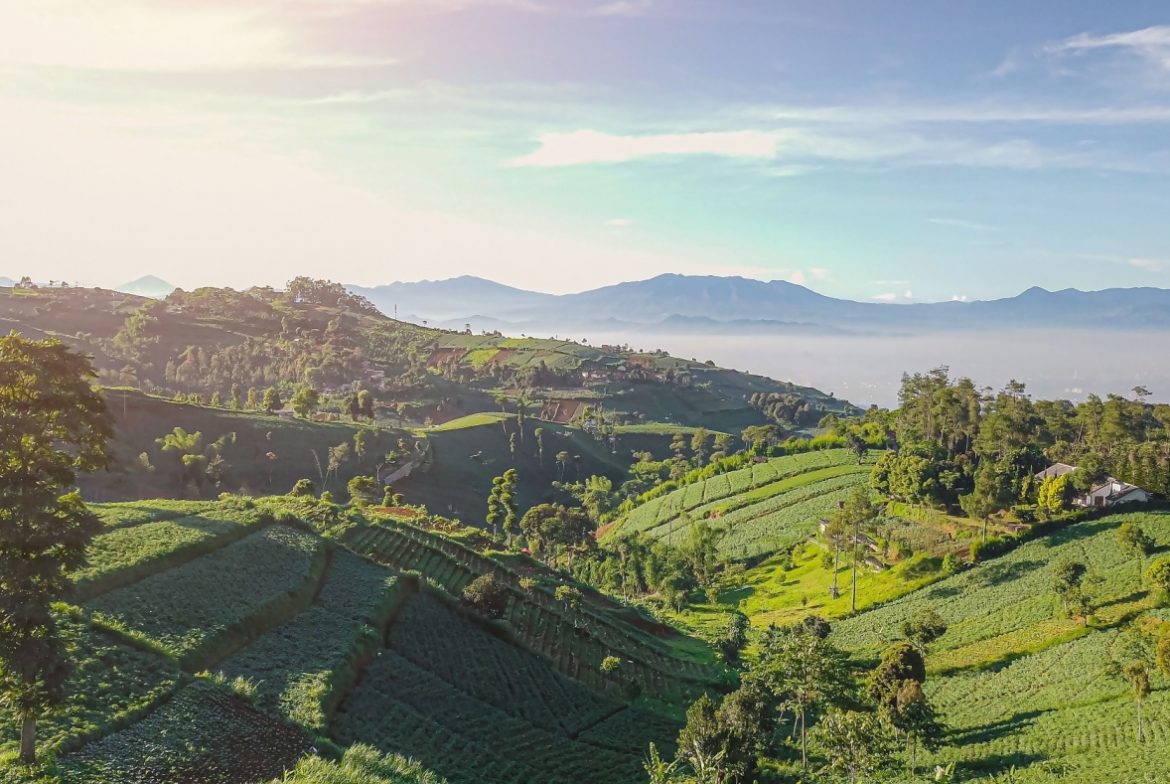 Wisata di Lembang Rekomendasi Tempat Seru untuk Liburan Keluarga
