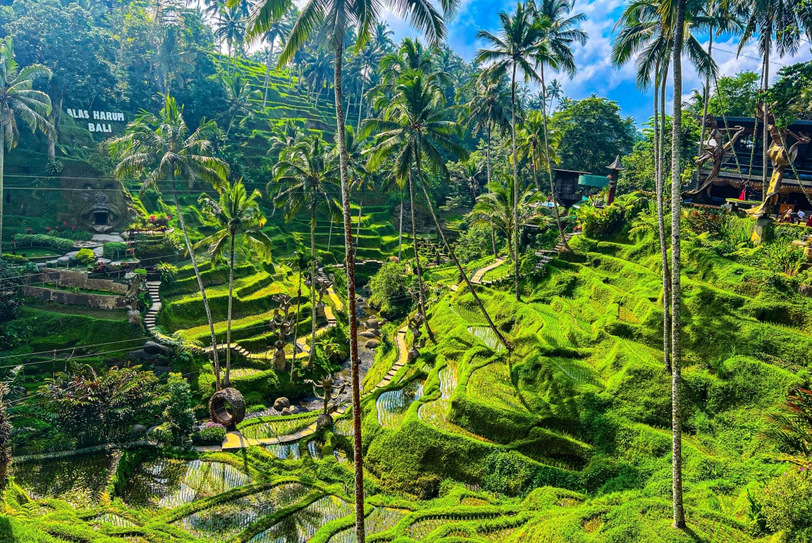 wisata ubud di Bali