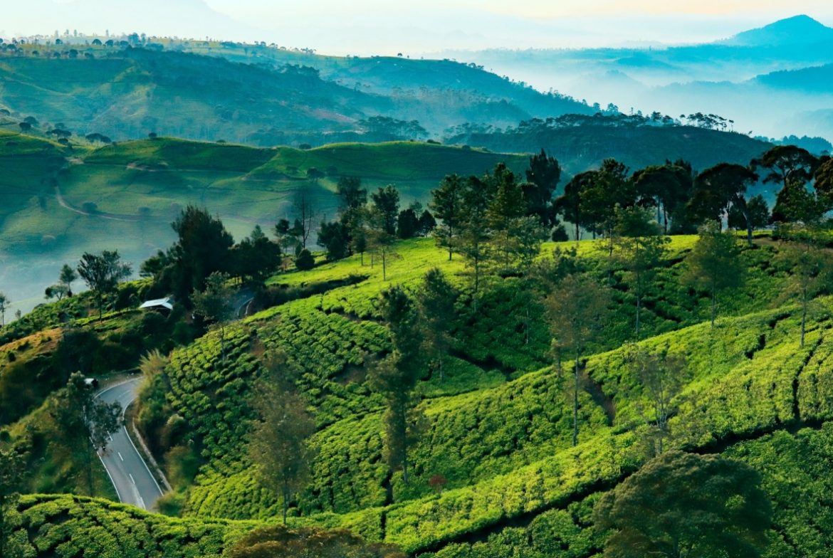 Gak Kalah dari Lembang! Pangalengan Punya Tempat Wisata Seindah Ini