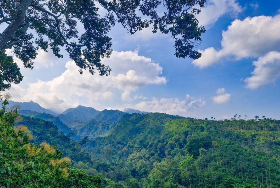 Liburan ke Pati Gak Kalah Seru! Ini Deretan Tempat Wisata Favoritnya