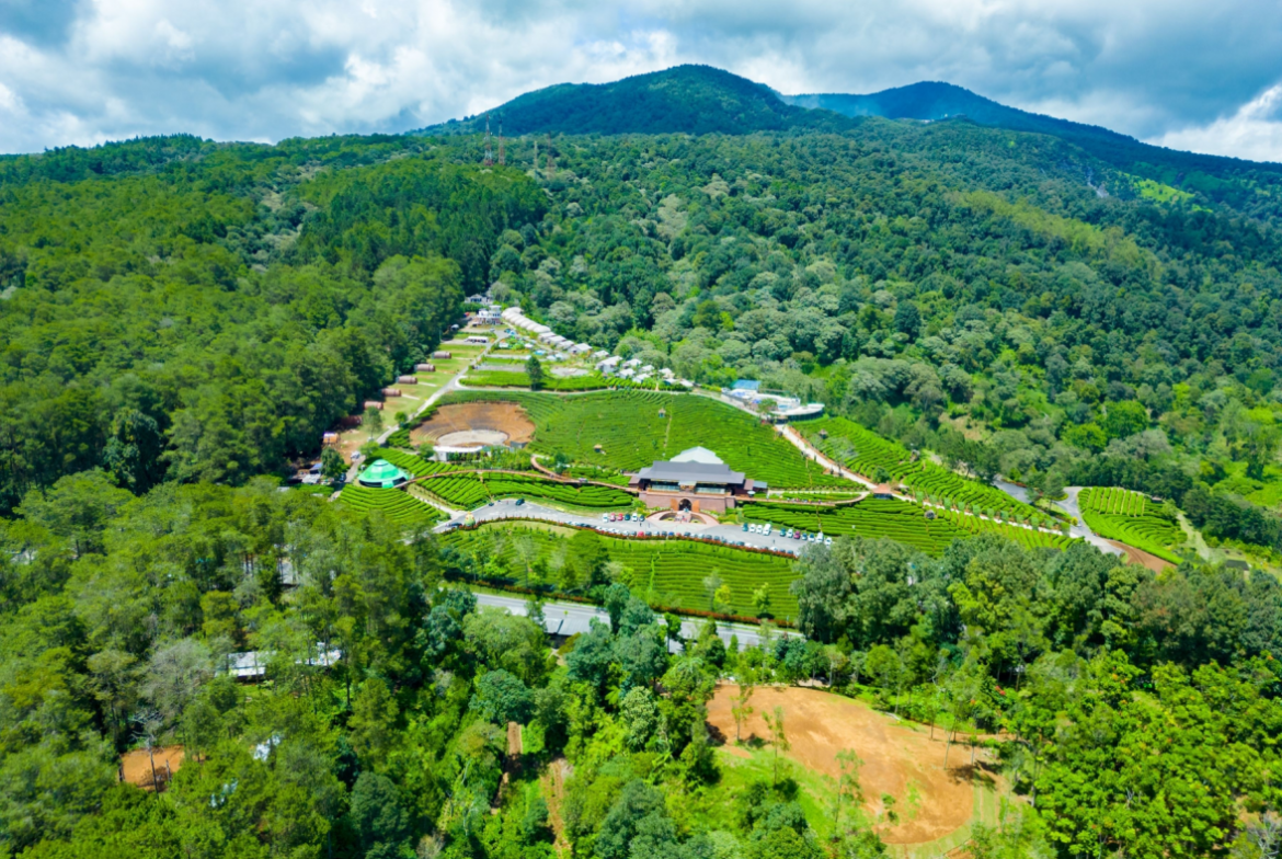 Rekomendasi Wisata Subang yang Cocok untuk Healing
