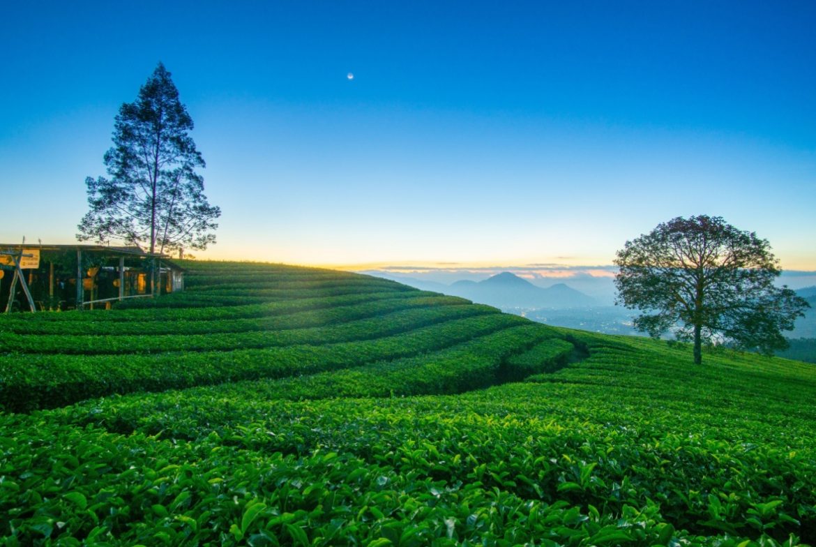 Taman Langit Pangalengan menawarkan pemandangan alam menakjubkan