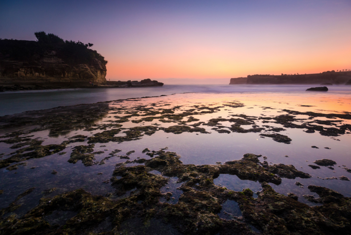 Tempat Wisata Pacitan yang Cocok untuk Liburan Seru
