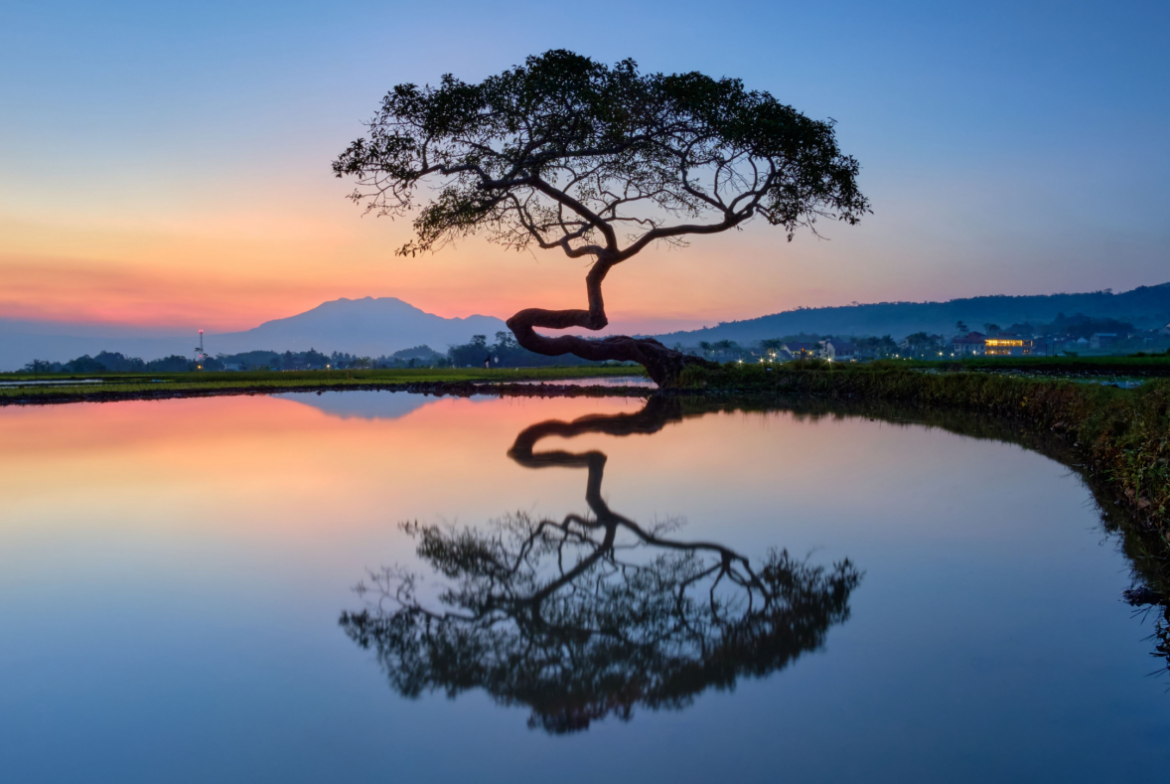Tempat Wisata di Salatiga yang Bikin Kamu Ingin Kembali Lagi