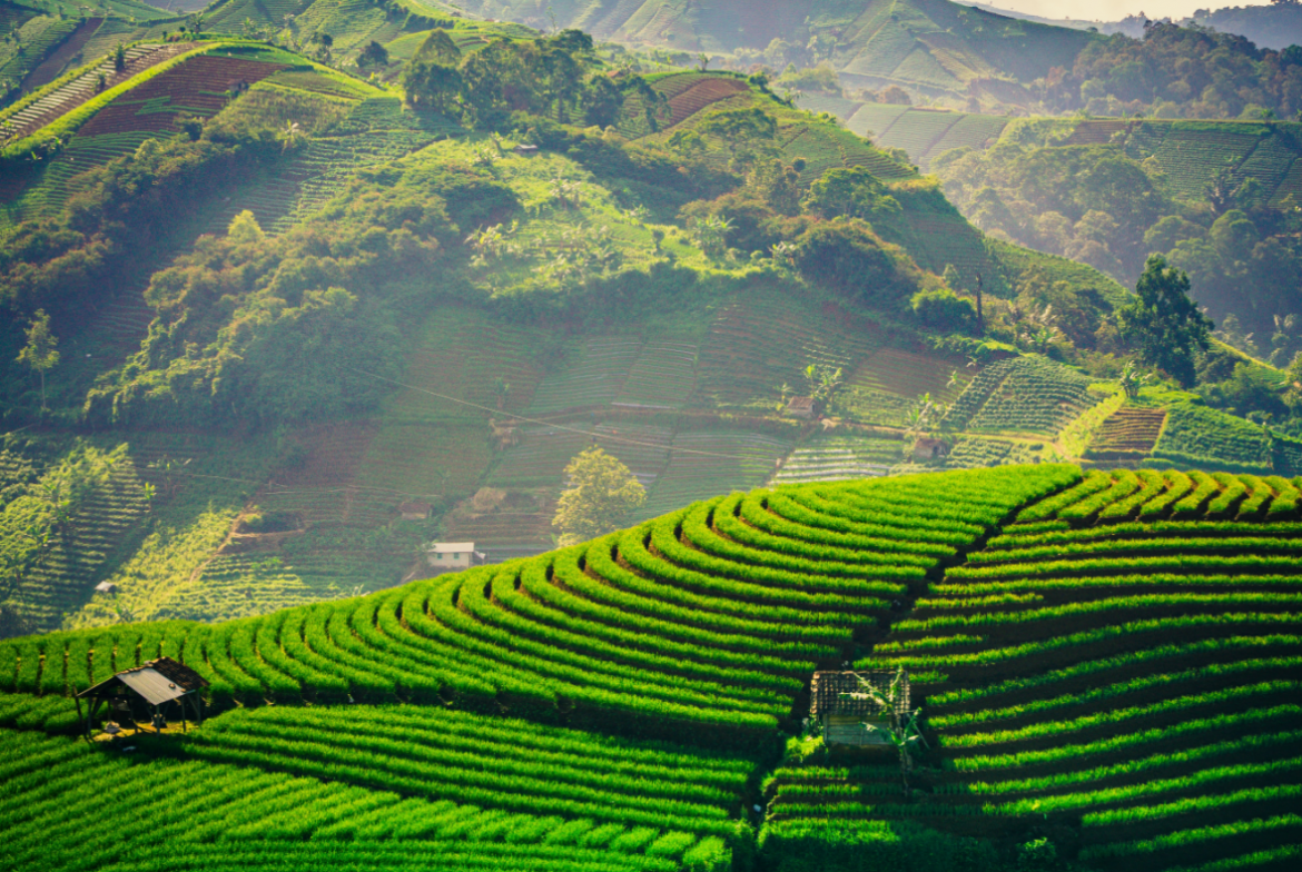 Wisata Hits di Majalengka untuk Liburan Akhir Pekan