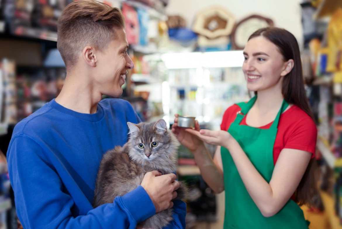 Rekomendasi Makanan Kucing Rekomendasi Makanan Kucing