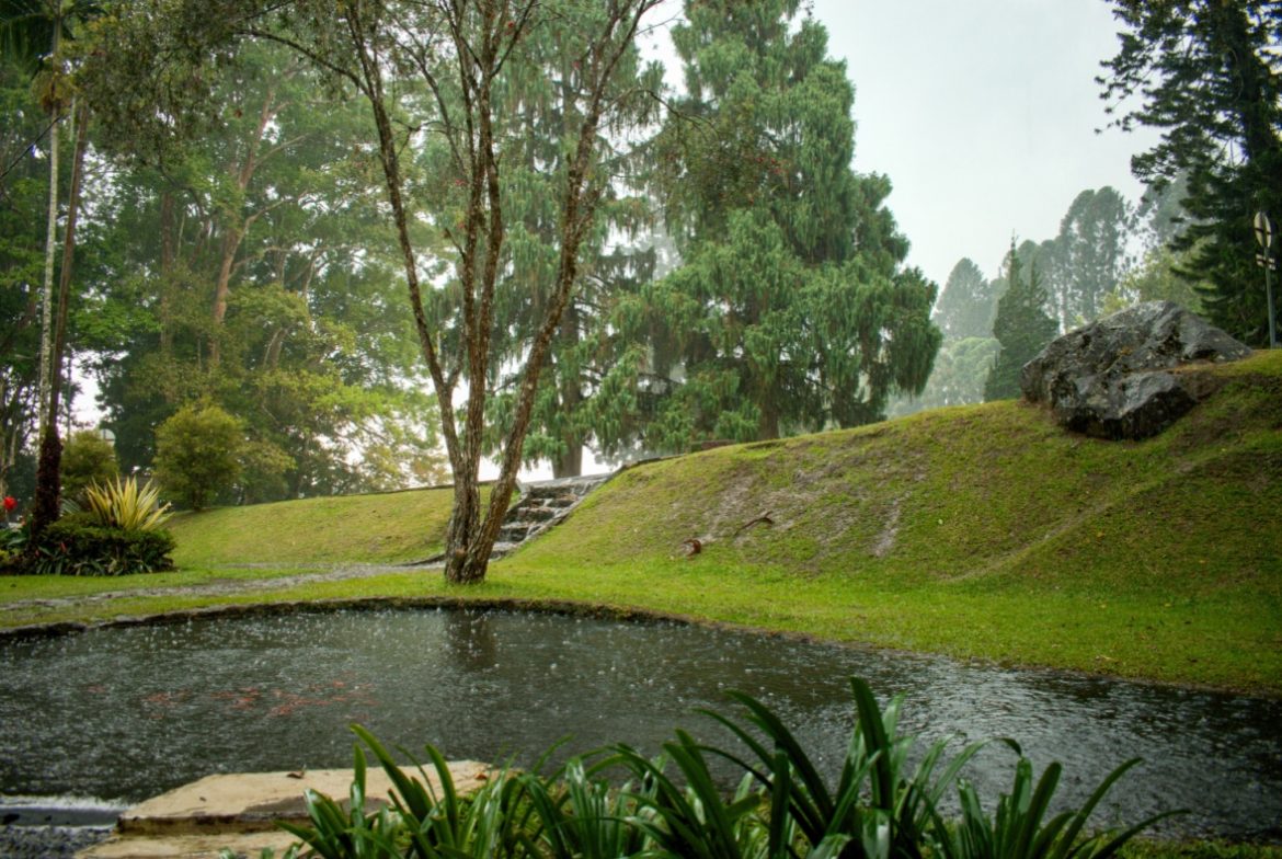 5 Spot Wisata Viral di Bogor