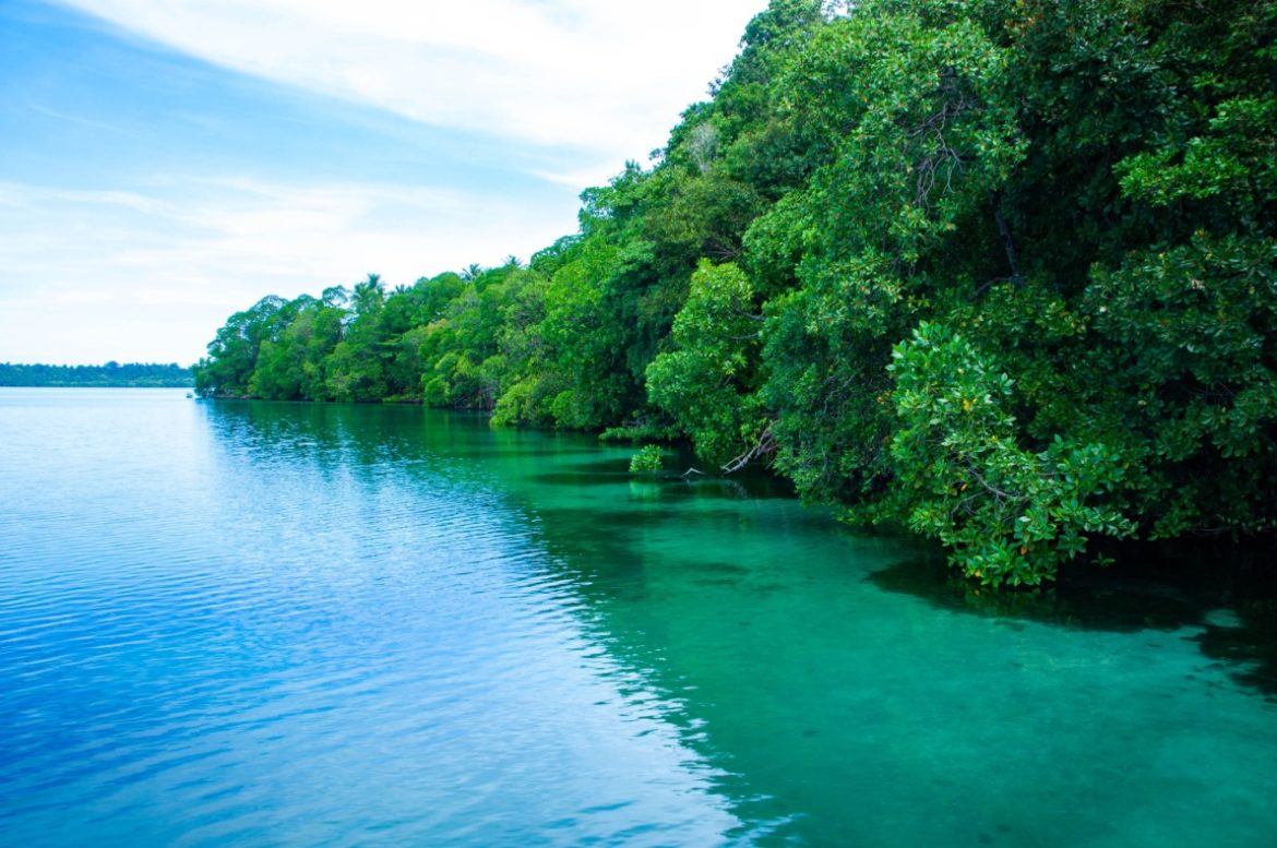 Pulau Kakaban, Danau Ubur-Ubur Unik di Kalimantan Timur